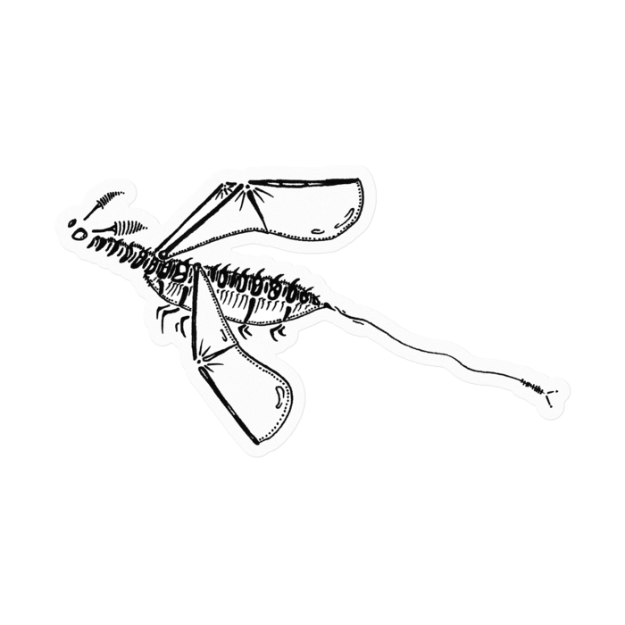 ステッカー - 100 x 100 (mm)