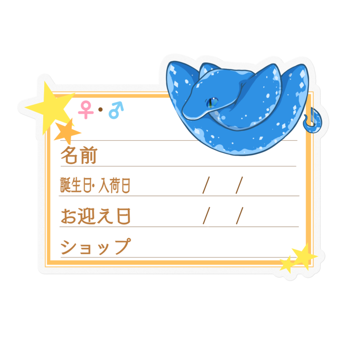 【🐍お名前ステッカー】グリンパイ(ブルーコンドロ) ‐星