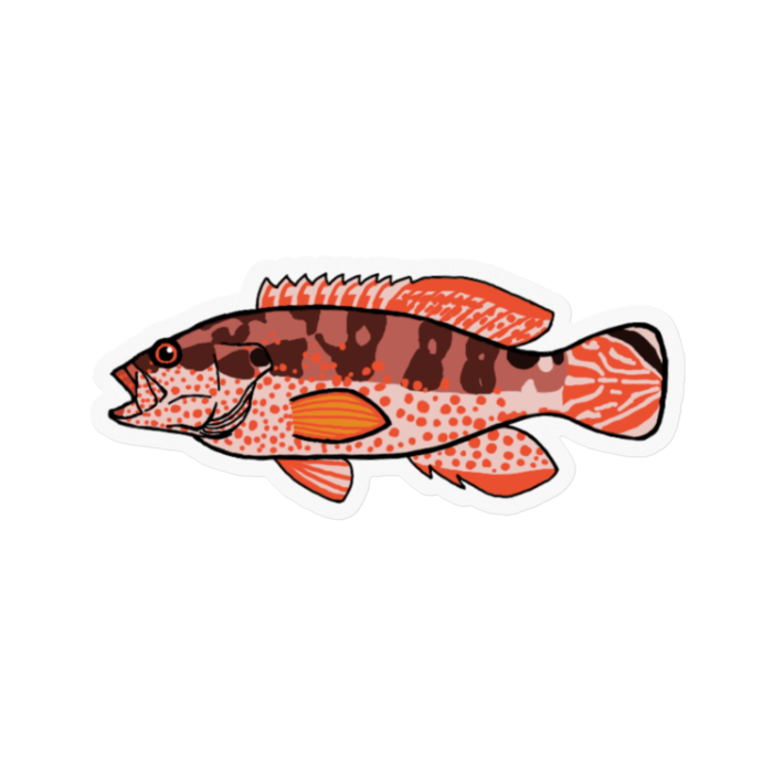 ステッカー - 100 x 100 (mm)