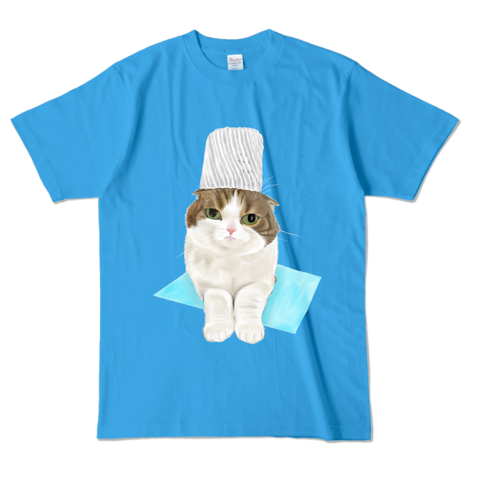 カラーTシャツ - L - ターコイズ (濃色)
