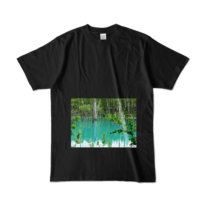 カラーTシャツ - L - ブラック (濃色)