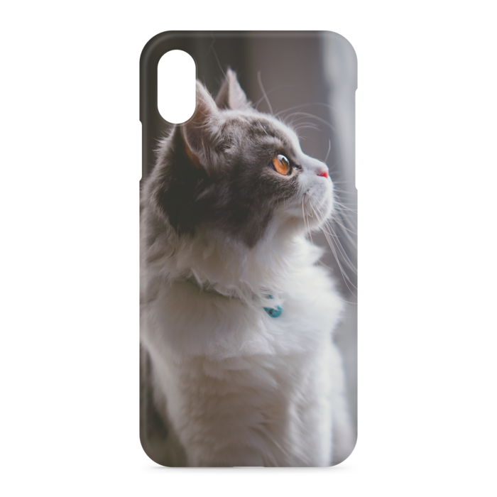 美テミーiphoneケース テミーずしょっぷ Booth