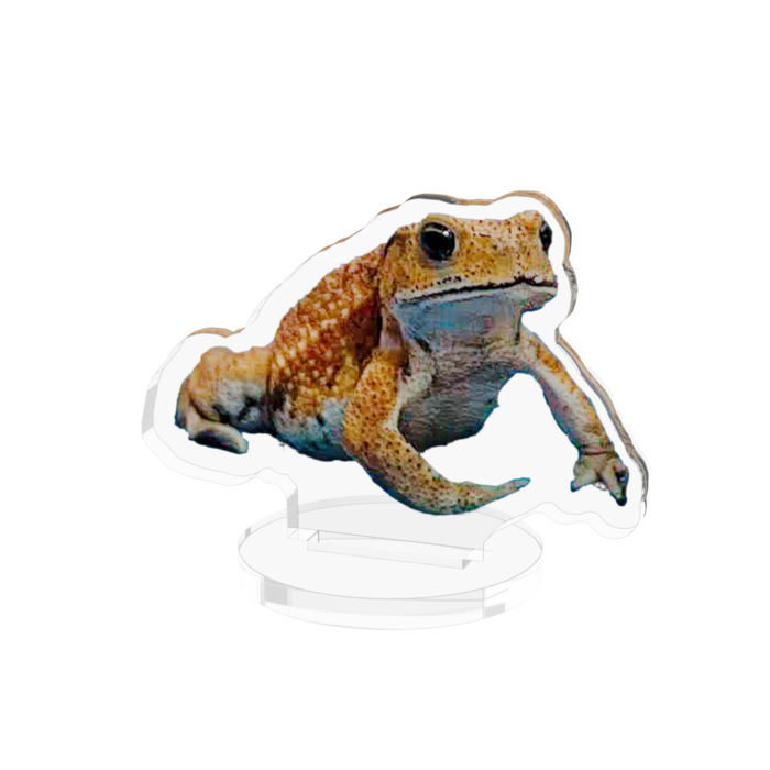 アクリルフィギュア - 50x50mm