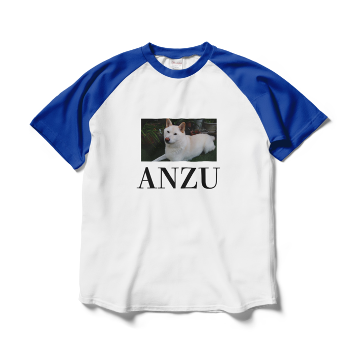 ラグランTシャツ - L - ホワイト×ロイヤルブルー