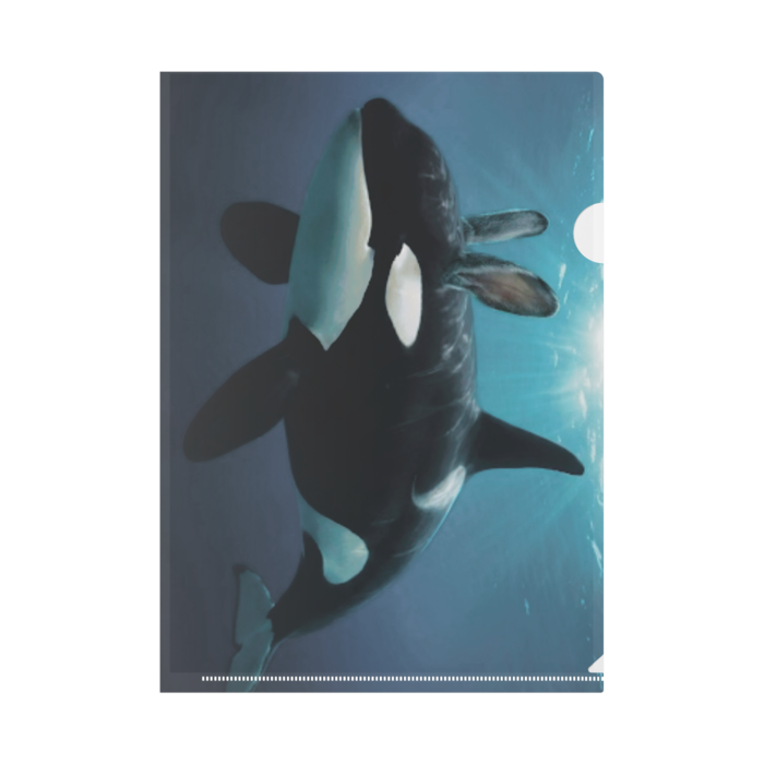 クリアファイル - A4