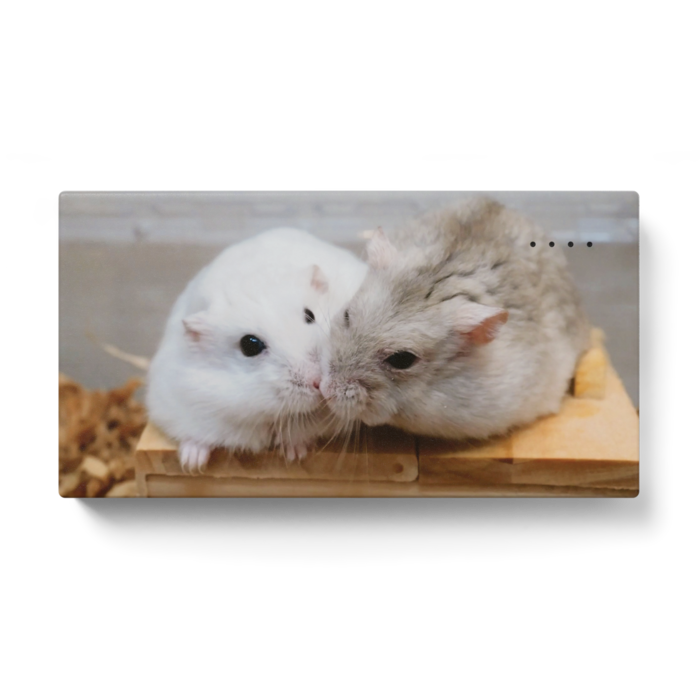 モバイルバッテリー - 123 x 65 (mm)(3)