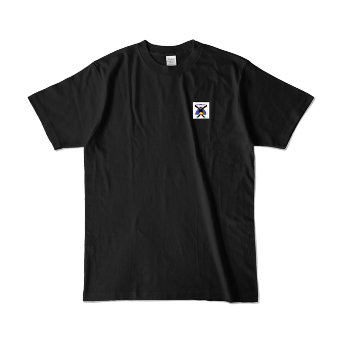 カラーTシャツ - L - ブラック (濃色)