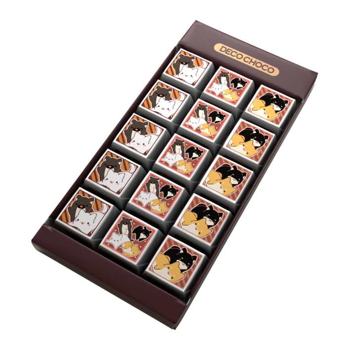 DECOチョコ - 15個入り