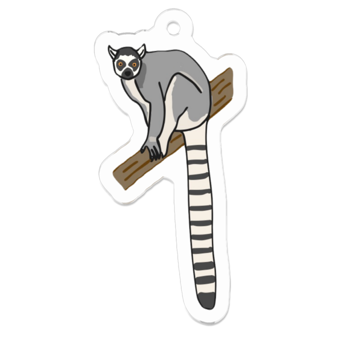 わおきつねざる