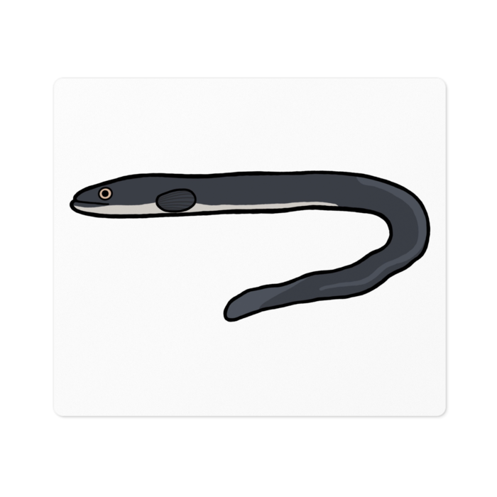 ステッカー - 100 x 100 (mm)(1)