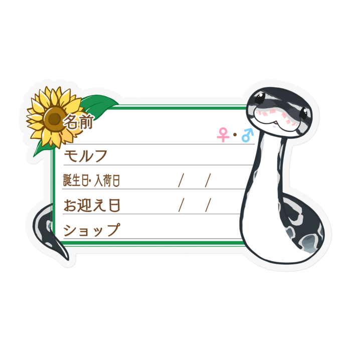 【🐍お名前ステッカー】ボールパイソン(アザン)-ひまわり