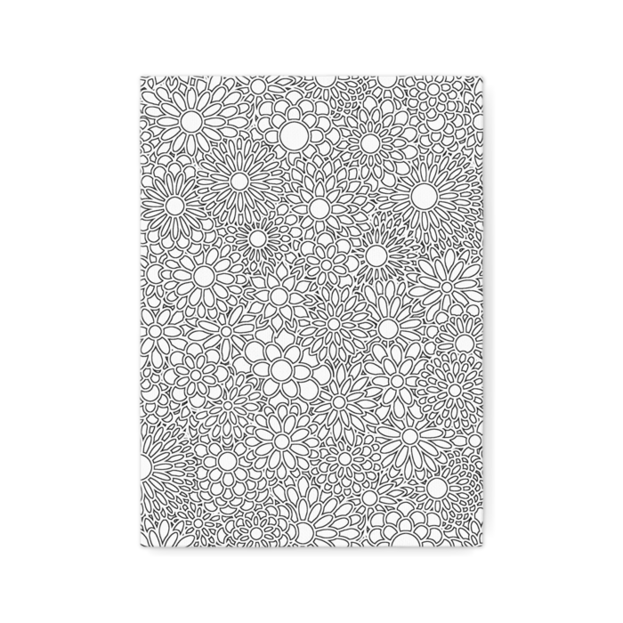 キャンバス - F4