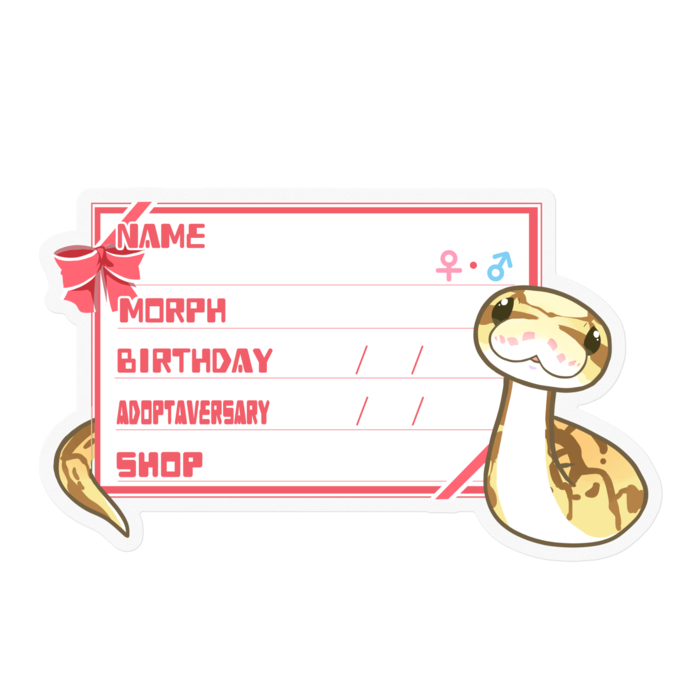 【🐍お名前ステッカー】ボールパイソン(クイーンビーミニ) ‐リボン／ピンク(英語)