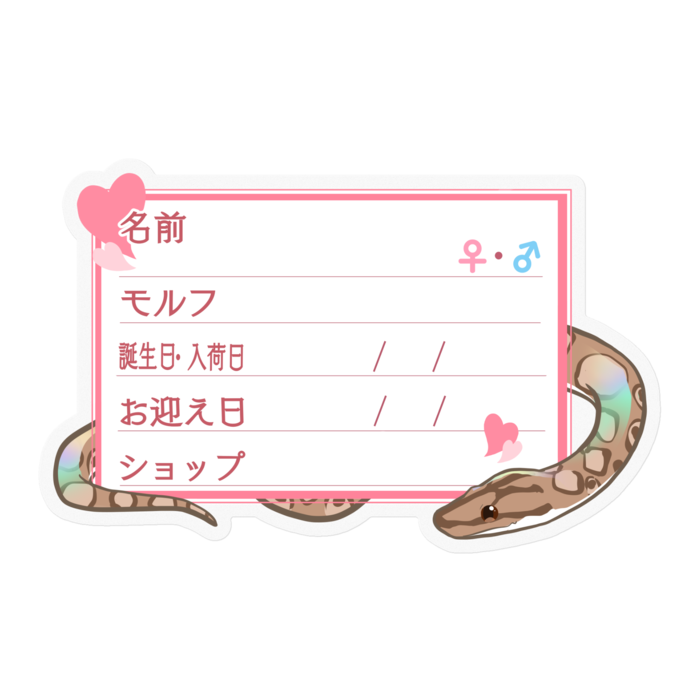 【🐍お名前ステッカー】コロニジ(ノーマル) ‐ハート／ピンク