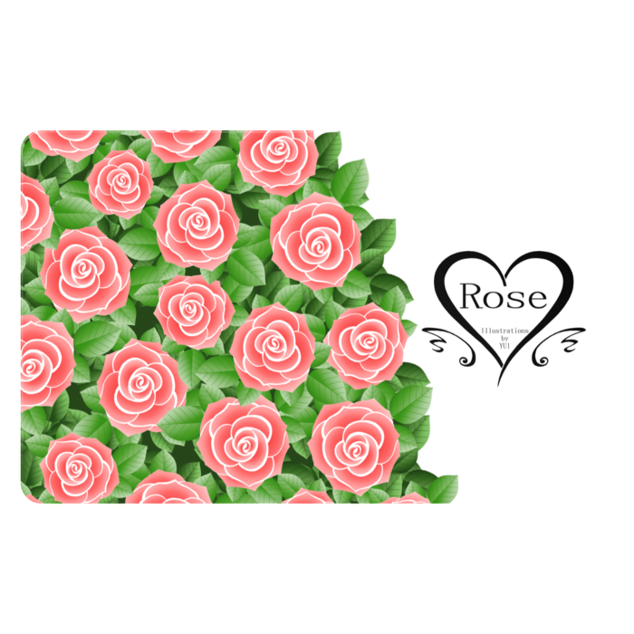 薔薇