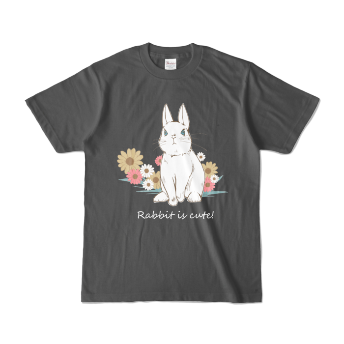 カラーTシャツ - S - チャコール (濃色)
