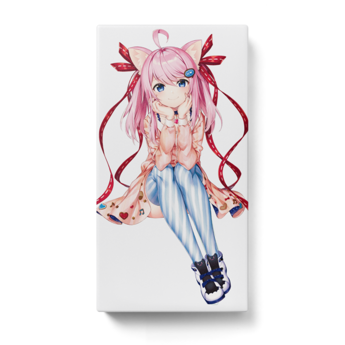モバイルバッテリー - 123 x 65 (mm)