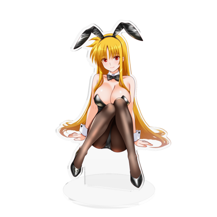 フェイトバニーLサイズ約160x160mm