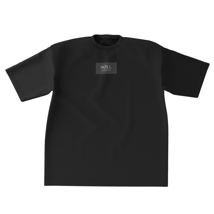 ビッグシルエットTシャツ - XL - 両面