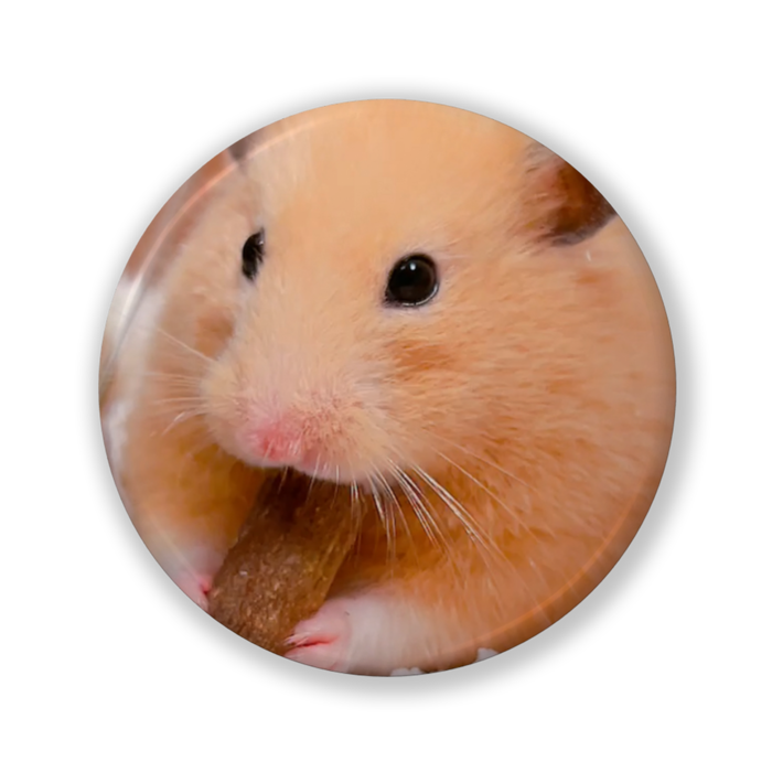 缶バッジ（バリュー） - 32mm