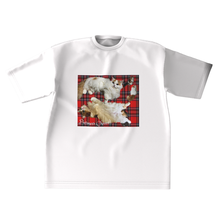 ビッグシルエットTシャツ - XL - 両面