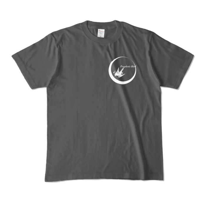 カラーTシャツ - M - チャコール (濃色)