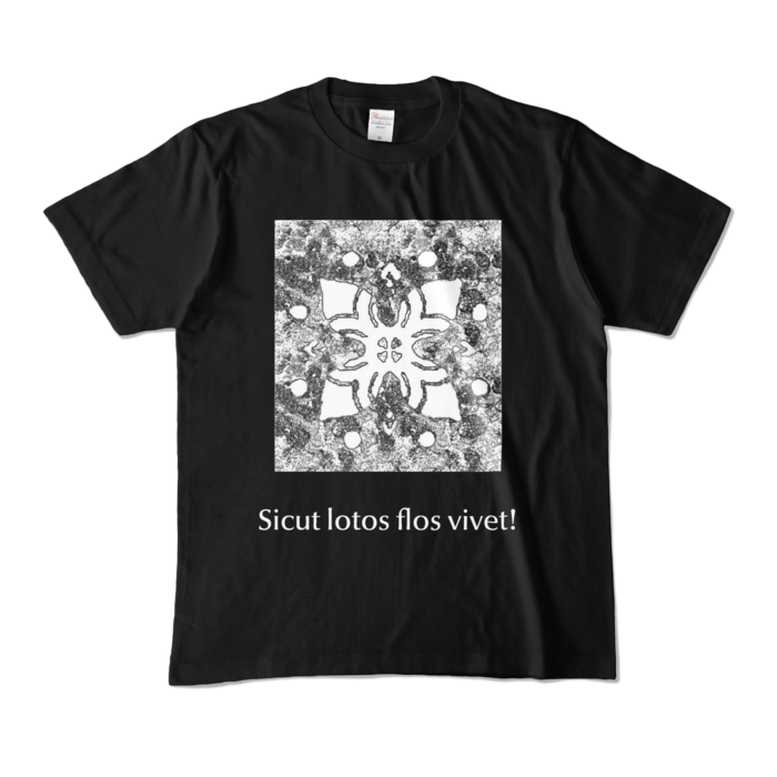 カラーTシャツ - M - ブラック (濃色)×ホワイト