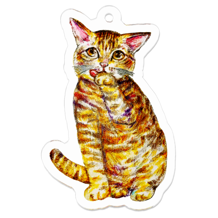 雉白猫 雉虎猫 茶虎猫アクリルキーホルダー Nekokke Noaru Booth 雉白猫 雉虎猫 茶虎猫アクリルキーホルダー Nekokke Noaru Booth