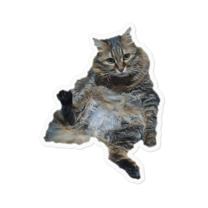 ステッカー - 100 x 100 (mm)