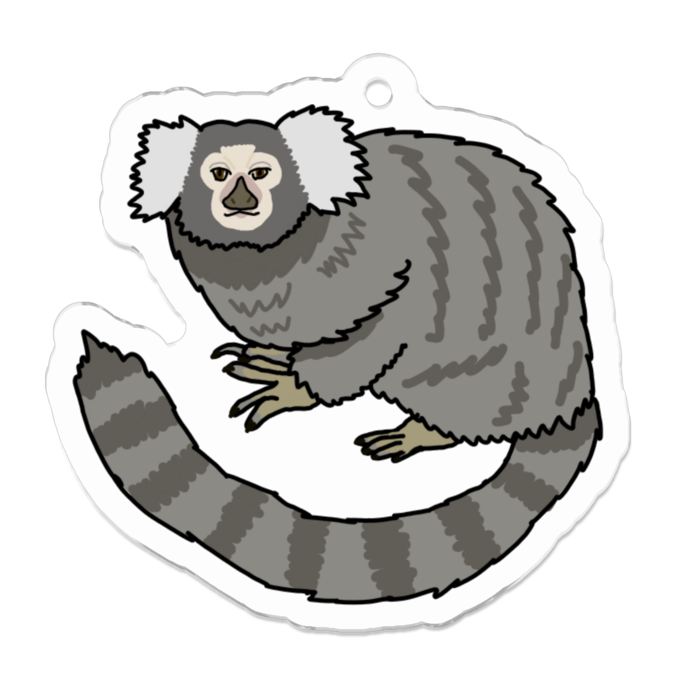 こもんまーもせっと