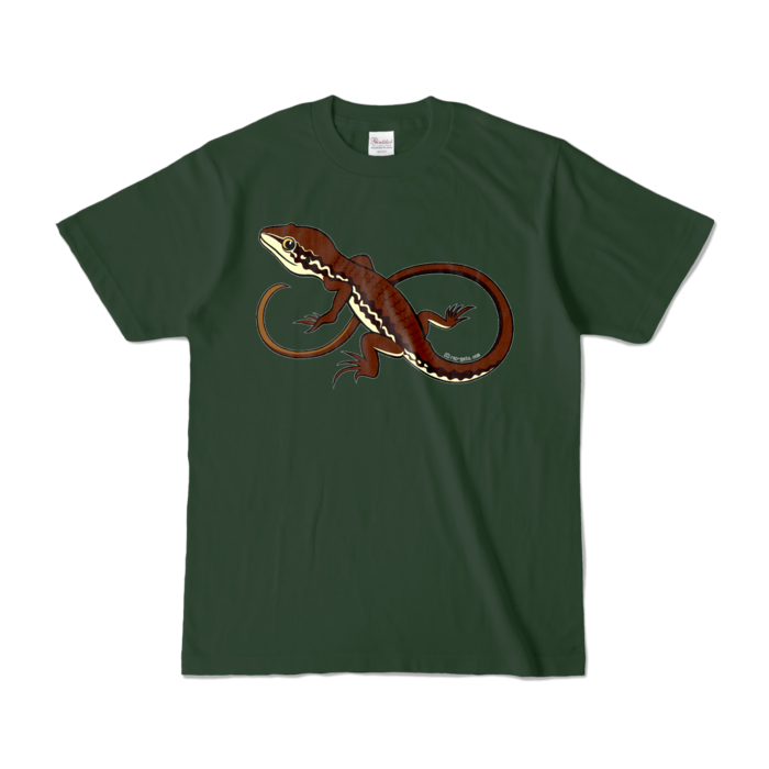 カラーTシャツ - S - フォレスト (濃色)