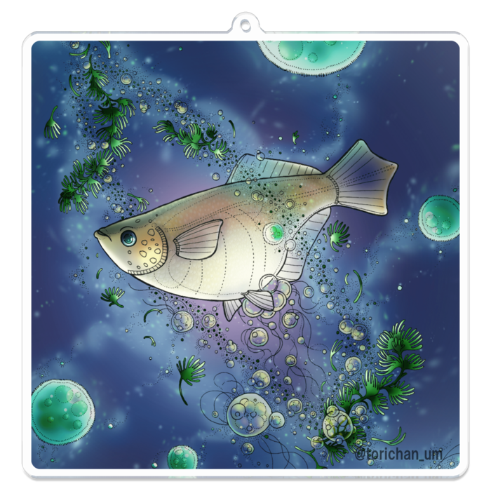 青　ー　100 x 100㍉／コーティングあり