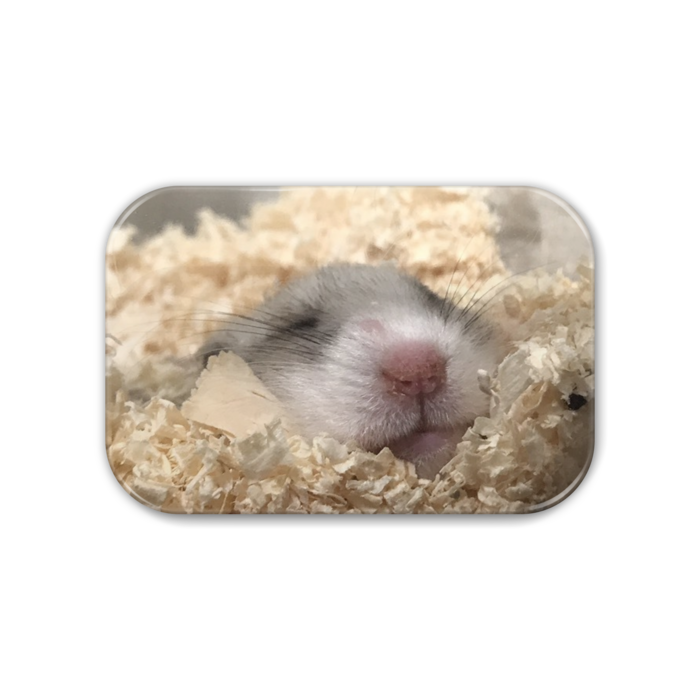 缶バッジ - 角丸 76x51mm