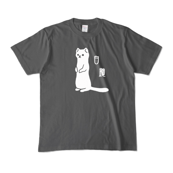 カラーTシャツ - M - チャコール (濃色)