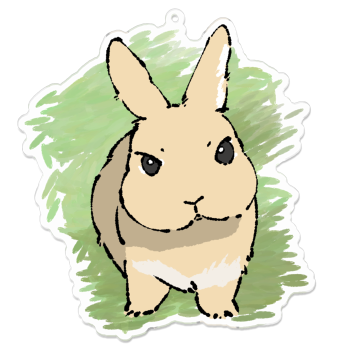 アクリルキーホルダー - 100 x 100 (mm)