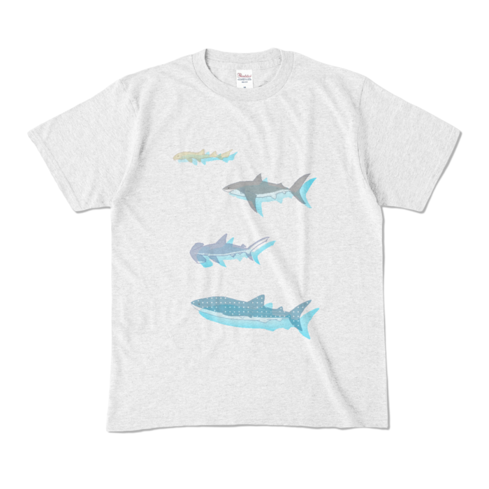 カラーTシャツ - M - アッシュ (淡色)