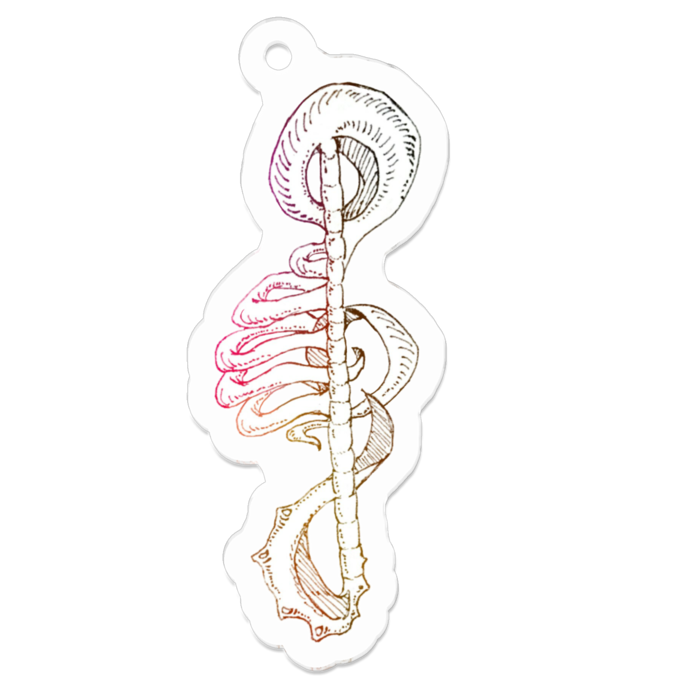 アクリルキーホルダー - 50 x 50 (mm)