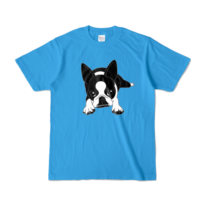 カラーTシャツ - S - ターコイズ (濃色)