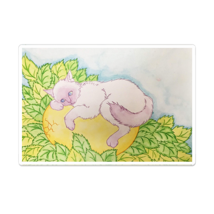 アクリルバッジ - 100 x 100 (mm)