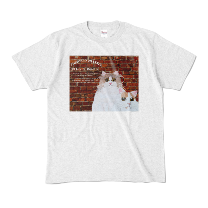 カラーTシャツ - M - アッシュ (淡色)