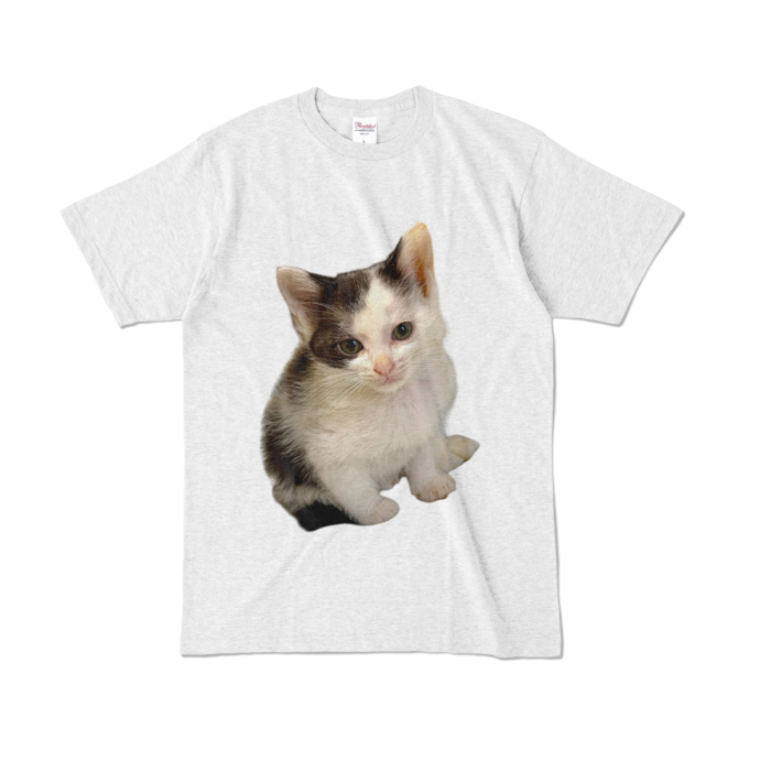 カラーTシャツ - L - アッシュ (淡色)