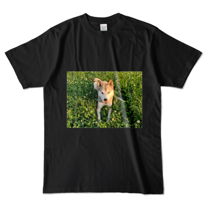 カラーTシャツ - L - ブラック (濃色)