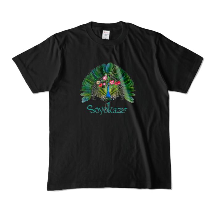 カラーTシャツ - M - ブラック（カラー）