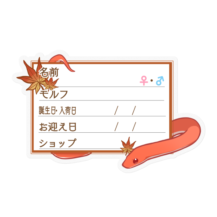 【🐍お名前ステッカー】コーンスネーク(ブラッドレッド) - もみじ