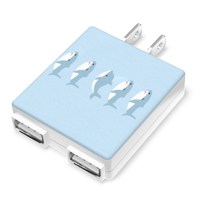 ACアダプター - 50×55mm