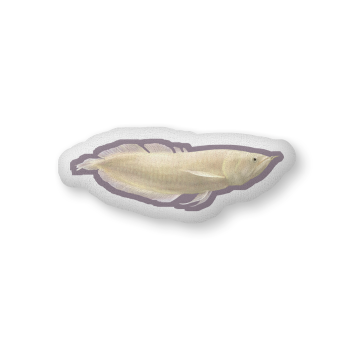 ふかふかクッション - 中（H36×W56cm） - 両面