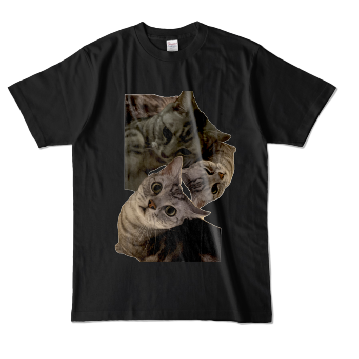 カラーTシャツ - L - ブラック (濃色)