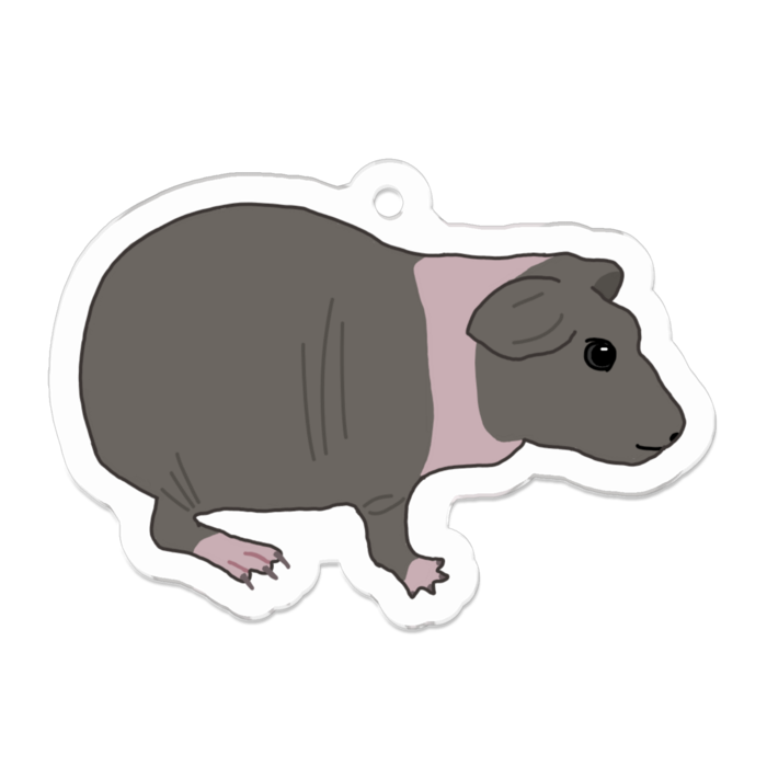 すきにーぎにあぴっぐ
