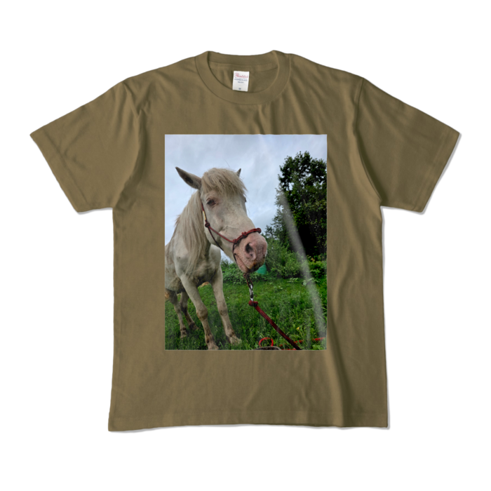 カラーTシャツ - M - オリーブ (濃色)