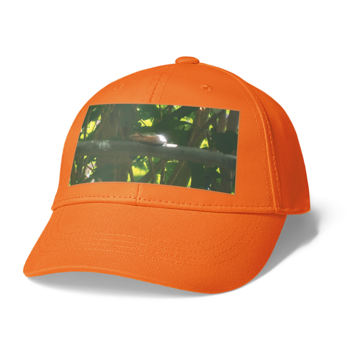 キャップ - オレンジ